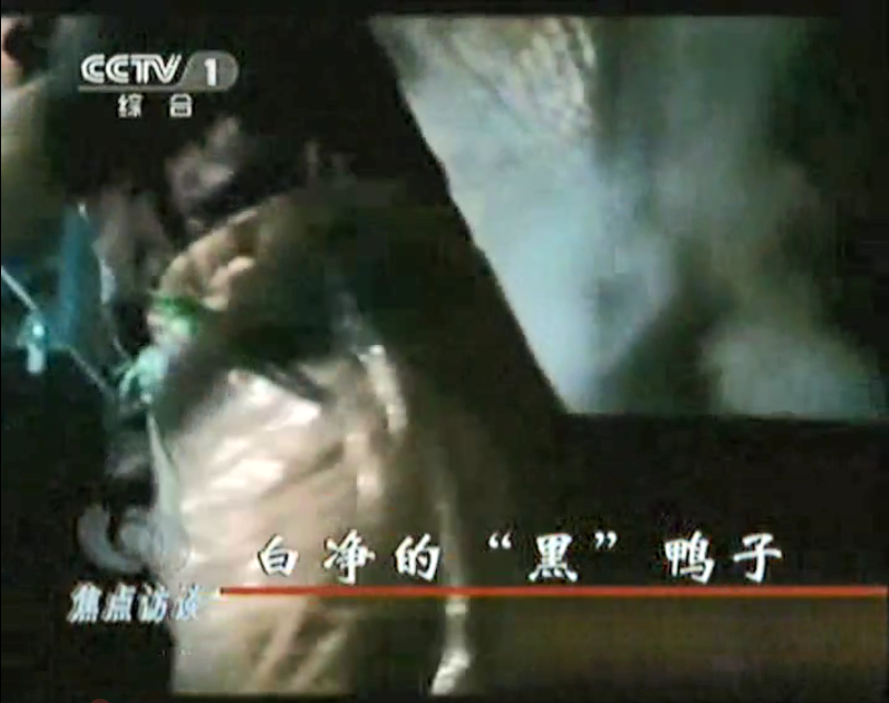 媒體曝光松香、瀝青拔鴨